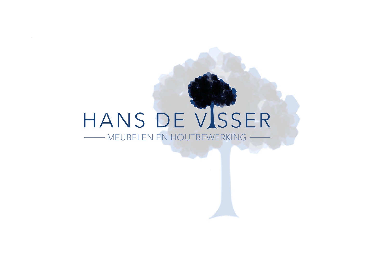 Hans de Visser